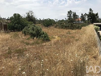 listing-picture-0