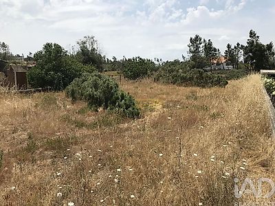 listing-picture-0
