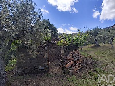 listing-picture-0