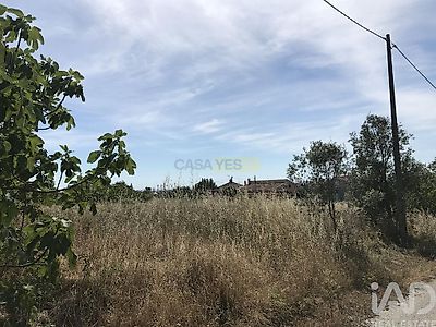 listing-picture-0
