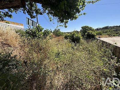 listing-picture-0