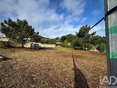listing-picture-0