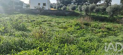 listing-picture-0