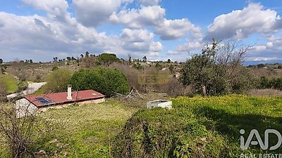 listing-picture-0