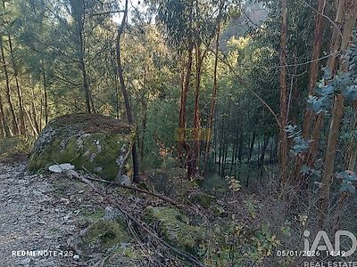 listing-picture-0