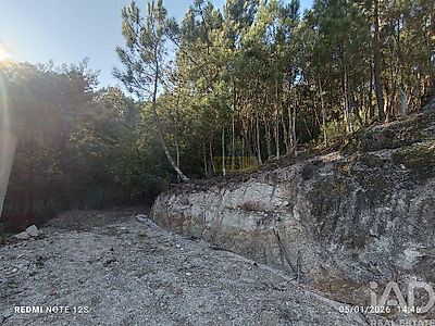 listing-picture-0
