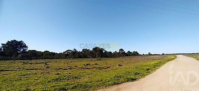 listing-picture-0