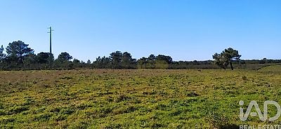 listing-picture-0