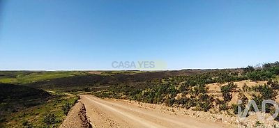 listing-picture-0