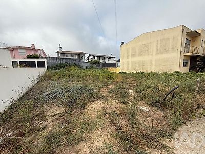 listing-picture-0