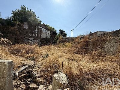 listing-picture-0