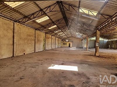 listing-picture-0