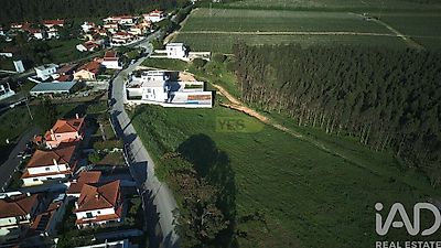 listing-picture-0