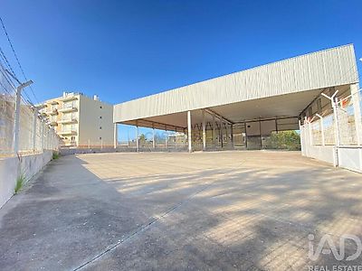 listing-picture-0
