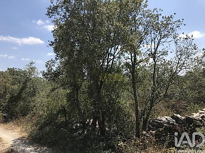 listing-picture-0