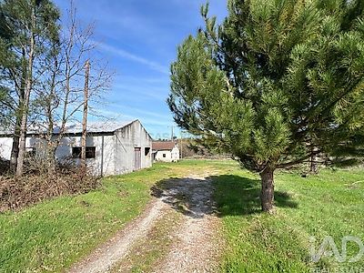 listing-picture-0