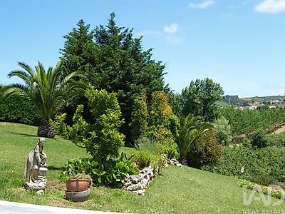 listing-picture-0
