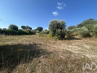 listing-picture-0