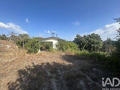 listing-picture-0