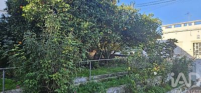 listing-picture-0