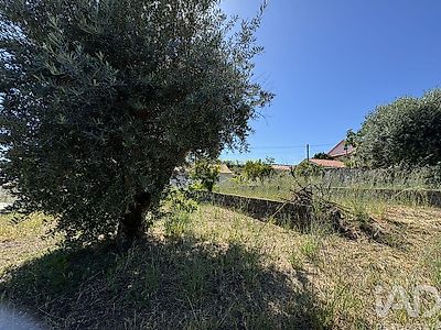 listing-picture-0