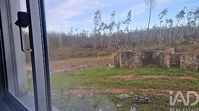 listing-picture-0