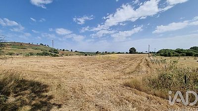 listing-picture-0