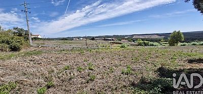 listing-picture-0