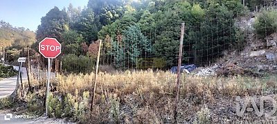 listing-picture-0
