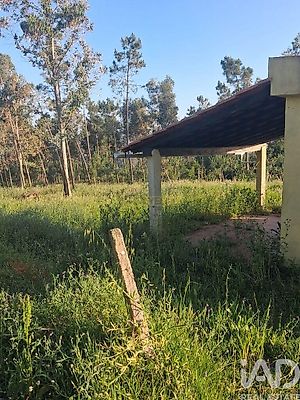 listing-picture-0