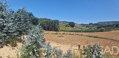 listing-picture-0