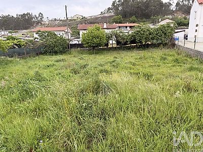 listing-picture-0