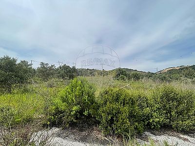 listing-picture-0