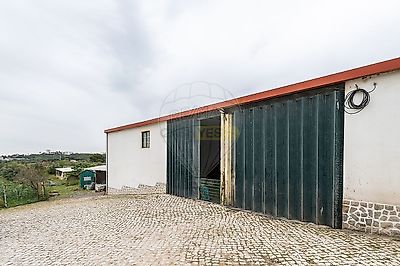 listing-picture-0