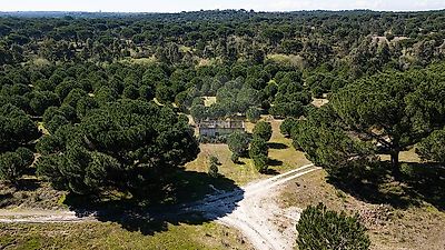 listing-picture-0