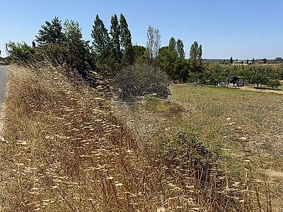 listing-picture-0
