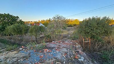 listing-picture-0