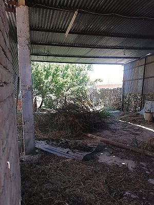 listing-picture-0