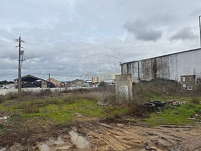 listing-picture-0