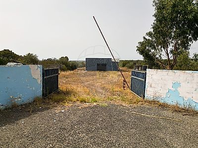 listing-picture-0