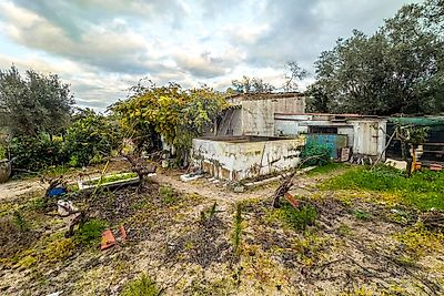 listing-picture-0
