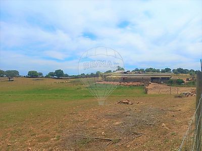listing-picture-0