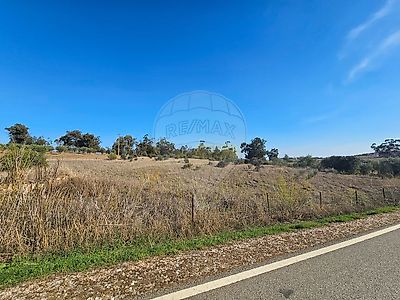 listing-picture-0