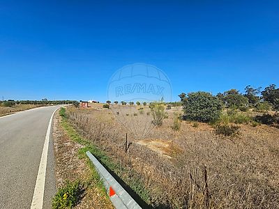 listing-picture-0