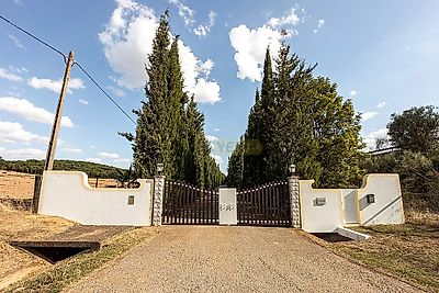 listing-picture-0