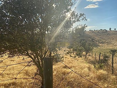 listing-picture-0
