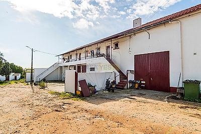 listing-picture-0