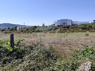 listing-picture-0