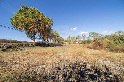 listing-picture-0