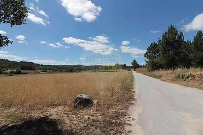 listing-picture-0